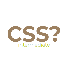 Intermediate CSS