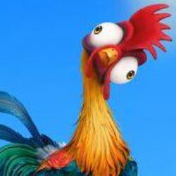 Profile picture of lisa scelli